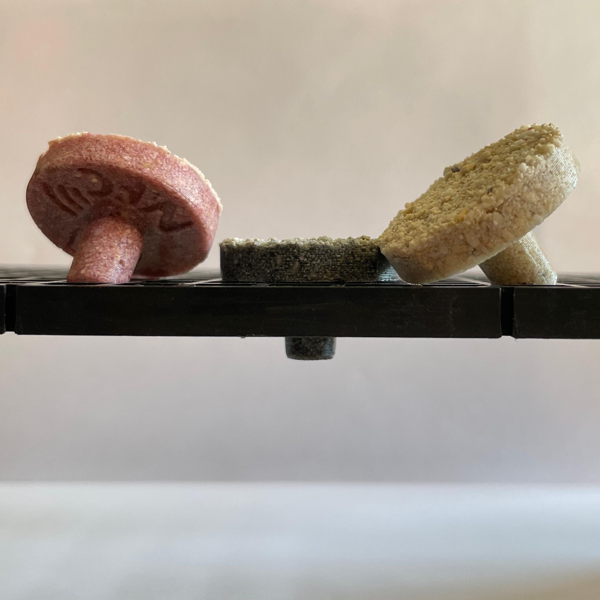 Basic Reef Plug 30mm // 10mm Pin